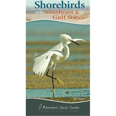 Shorebirds Of The Southeast & Gulf States